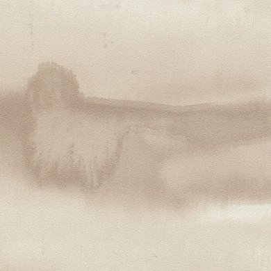 Shaka