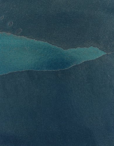 Mediterranean