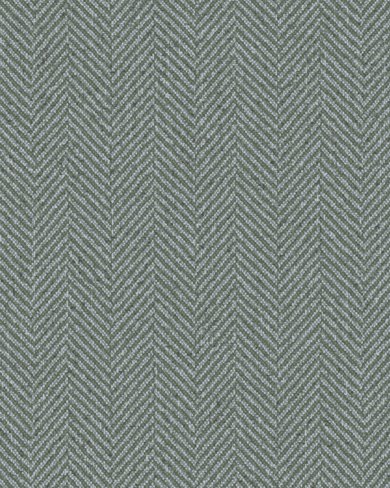 FERN