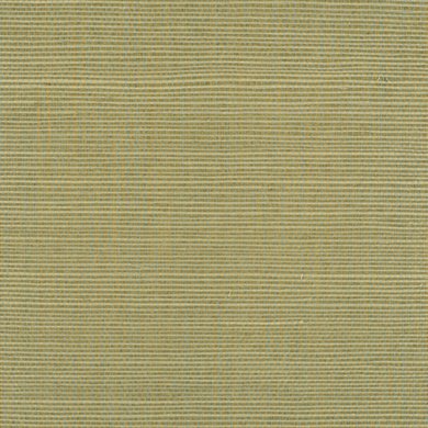 Celadon