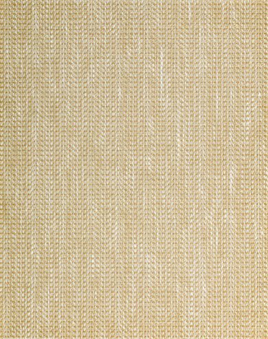 Cornsilk