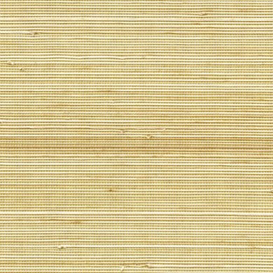 Maize