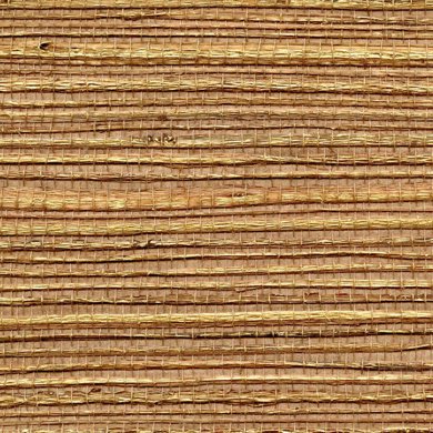 Burnt Umber