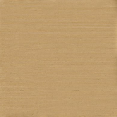 SUGARCANE