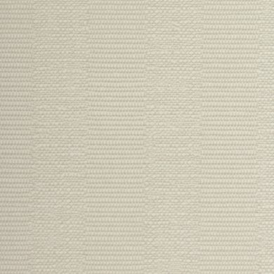 Caraway Seed