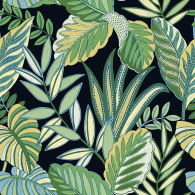 Rainforest