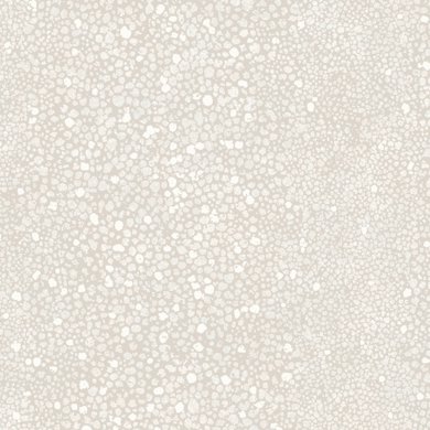 Sea Spray