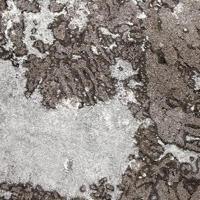 Volcanic Ash