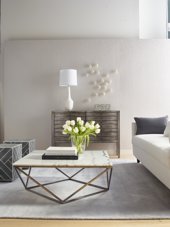 Lush in a room