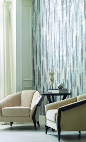 Silver Dollar in a room