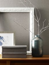 Cornsilk in a room