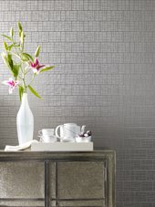 Icy White in a room