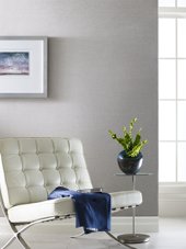Oyster in a room