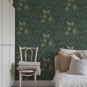 Apricot in a room