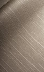 Silver Leaf in a room