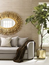 Sprig in a room