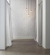 Birch in a room