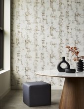 Rustic in a room