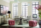 Terra in a room
